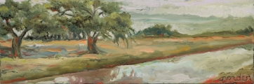 Cottonwoods—New Mexico