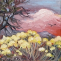 Chamisa Wind