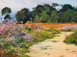 Pathway to the Bluffs