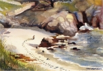 Point Lobos - Carmel