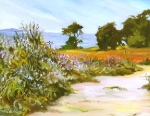 Carpinteria Bluffs