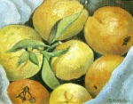 Citrus with Blue Cloth